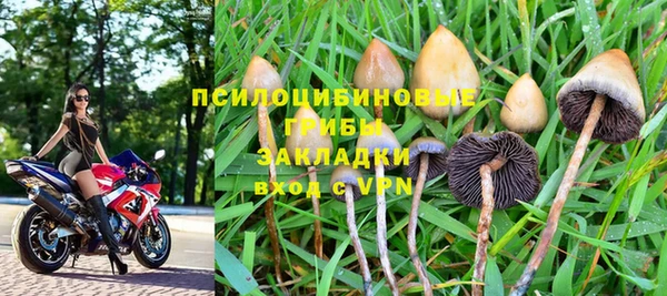 кокс Магас